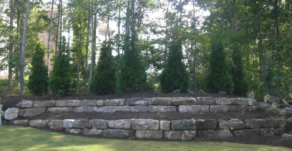 Retaining wall with evergreens